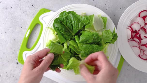Frühlingssalat Rezept Salat Spinat Und Rettich Mischen Zubereitung Aus Nächster — Stockvideo