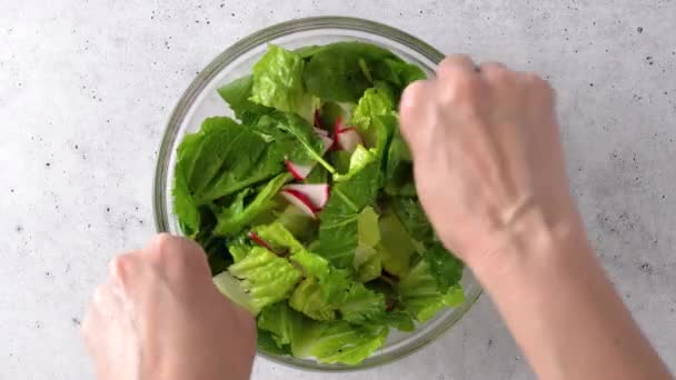 Spring Salad Glass Bowl Lemon Olive Oil Salad Dressing Fresh — Stock Video