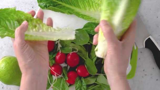 罗马生菜 萝卜和柠檬在切菜板上 带有柠檬橄榄油配料的春绿色沙拉 — 图库视频影像