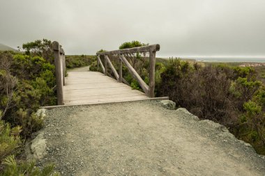 Montana de Oro Eyalet Parkı 'nda yürüyüş parkı, Kaliforniya kıyısı.
