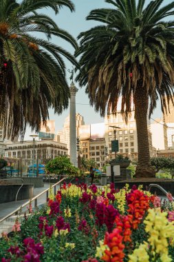 San Francisco, Kaliforniya, 8 Nisan 2024. Bahar çiçekleri San Francisco 'nun perakende cennetinin hareketli kalbini gösteriyor.