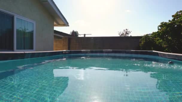 Bovengronds Zwembad Een Achtertuin Omgeven Door Groen Hoge Kwaliteit Beeldmateriaal — Stockvideo