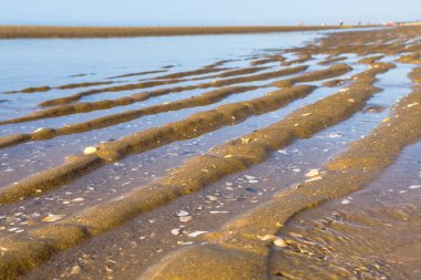 Gelgit kanalları, sakin bir ufka sahip kumlu bir sahilde desenli çıkıntılar oluşturuyor..