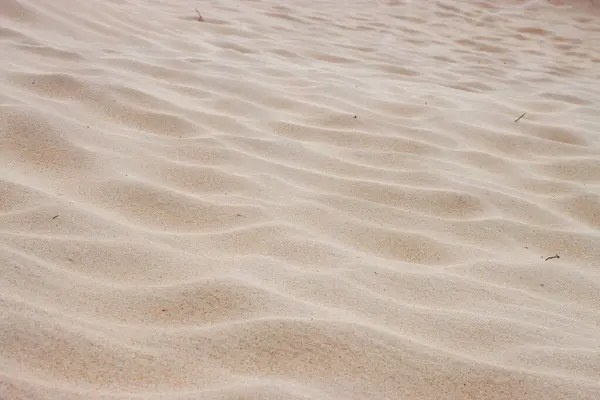 stock image Wind-sculpted sand patterns create gentle dune waves.