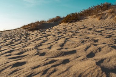 Güneşli kum tepeleri, açık bir gökyüzünün altında kum ve otların desenleri..