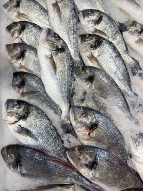 Dondurulmuş Dorado balık pazarında buzda sergileniyor..