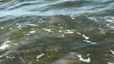 Sakin okyanus dalgaları sakin su yüzeyinde yavaşça dalgalanır. Yüksek kalite 4k görüntü