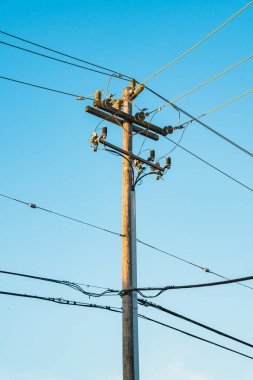 Arka planda mavi gökyüzü olan elektrik direği hattı