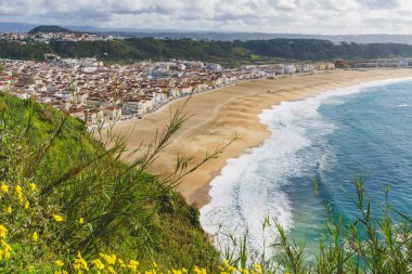 Bereketli yeşillik, Nazilerin yoğun kentsel manzarasını çerçeveler, plaja ve okyanusa götürür..