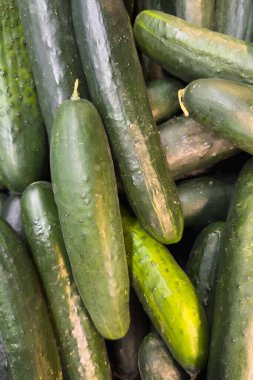 AVM 'de düzgünce istiflenmiş salatalıklar..