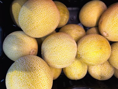 Alışveriş merkezinde güzel yerleştirilmiş taze karpuzlar..