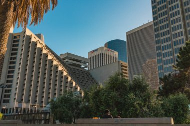 San Francisco, Kaliforniya, 8 Nisan 2024. Şehir ortamında yüksek binalar ve palmiye ağaçları.