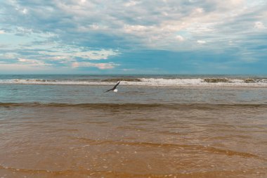 Dalgalar kıyıya doğru süzülerek süzülüyordu..