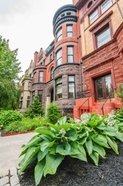 Büyük ev sahibi bitkiler ve yeşil peyzaj çerçevesi Washington 'daki tarihi kırmızı tuğlalı bir Rowhouse' un merdivenleri..