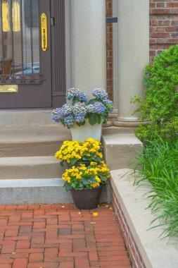 Çiçek açan ortancalar ve parlak sarı çiçekler tarafından çerçevelenmiş ön kapı.