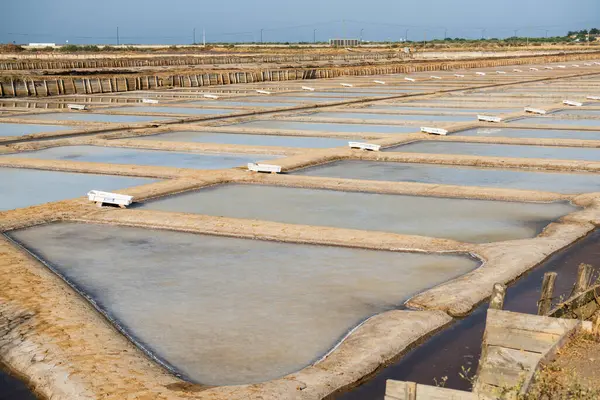 Sığ buharlaşma havuzları, deniz tuzu hasat etmek için kullanılan tuzlu bir dairede geometrik desen oluşturur..