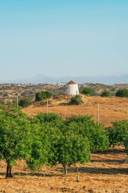 Algarve kırsalındaki tepede eski bir yel değirmeni
