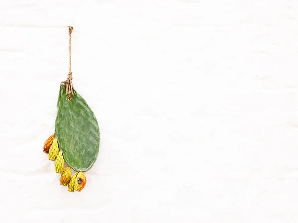 白い壁に対するサボテンの植物 — ストック写真