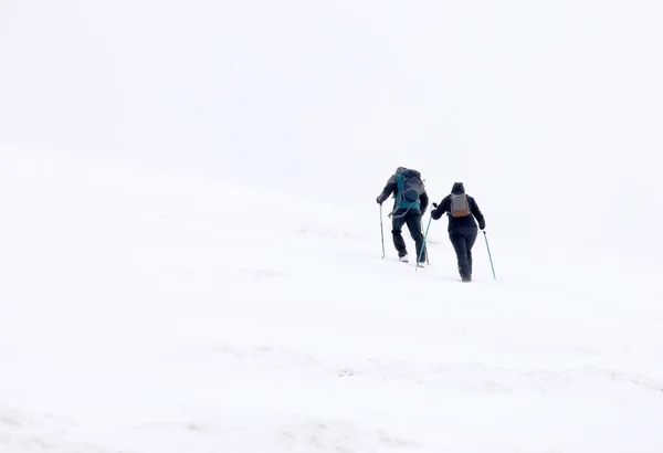 Winter Mountain Climbing Harsh Blizzard Conditions Parng Mountains Romania Europe — Stock fotografie