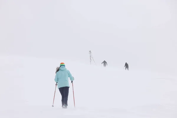 Winter Mountain Climbing Harsh Blizzard Conditions Parng Mountains Romania Europe — Stock Photo, Image