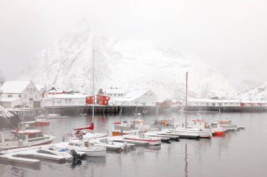 Lofoten adalarındaki Reine balıkçı köyünde kışın karlı kırmızı rorbu evleri. Lofoten Adaları, Norveç, Avrupa