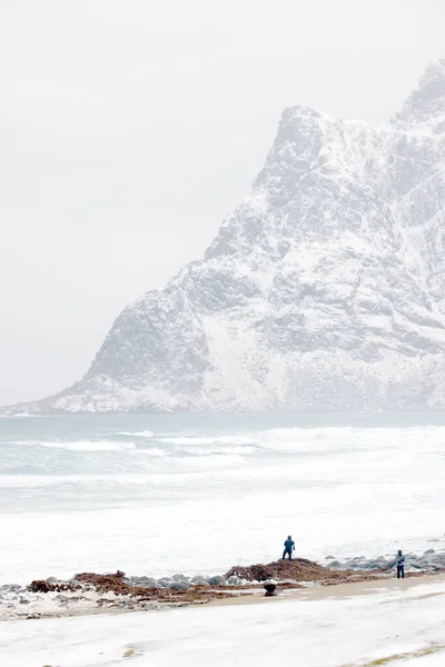 Surowy Krajobraz Zimowy Archipelagu Lofoten Plaża Uttakleiv Norwegia Europa Zimny — Zdjęcie stockowe