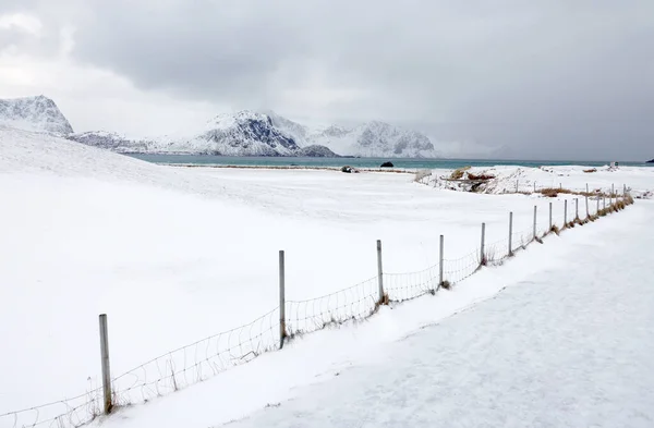 欧洲Uttakleiv海滩Lofoten群岛寒冷的冬季风景 罗浮敦群岛的寒冷景观 — 图库照片