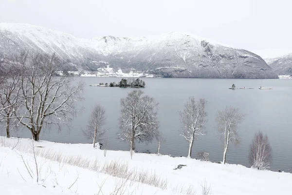 Winter Landscape Hornindalsvatnet Holmoyane Norway Europe — Stock Photo, Image