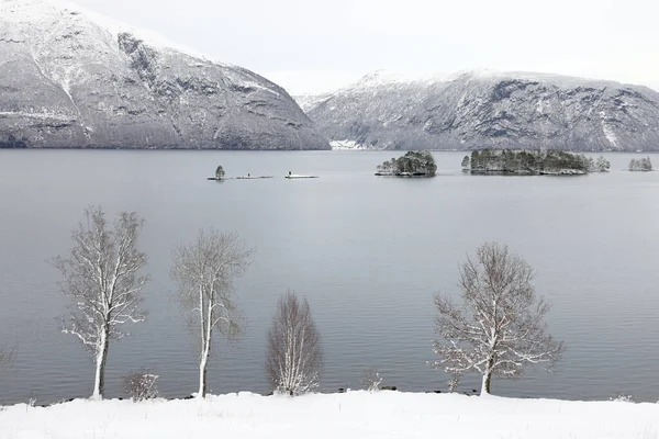 Winterlandschaft Hornindalsvatnet Holmoyane Norwegen Europa — Stockfoto