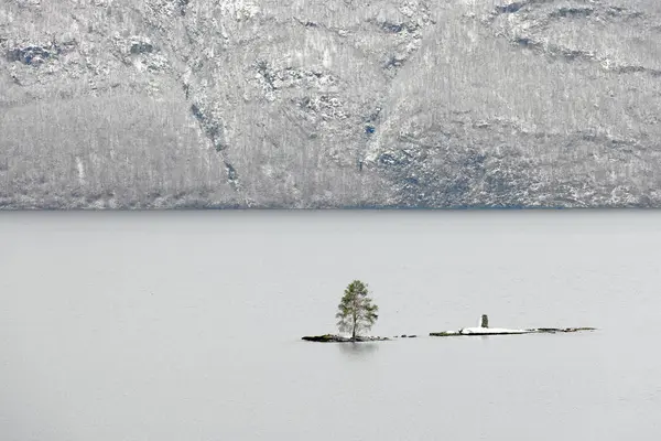 Зимний Пейзаж Фелиндалсватнете Холмояне Норвегия Европа — стоковое фото