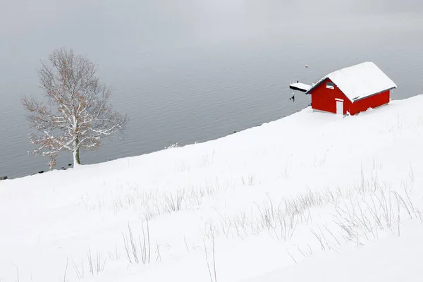 Paisaje Invernal Hornindalsvatnet Holmoyane Noruega Europa —  Fotos de Stock