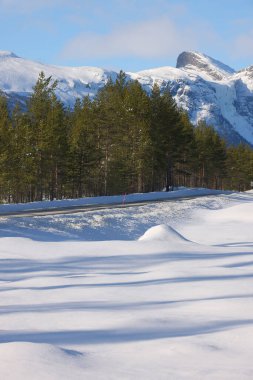 Norveç, Avrupa 'da Hemsedal rotasındaki Alp kış manzarası