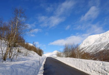 Norveç, Avrupa 'da Hemsedal rotasındaki Alp kış manzarası