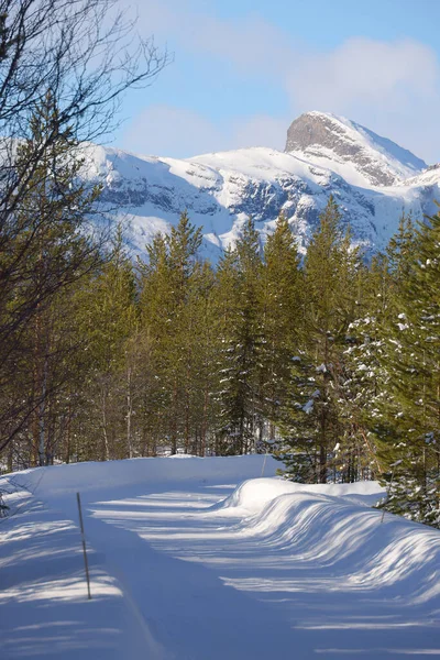Paisaje Alpino Invernal Ruta Hemsedal Noruega Europa —  Fotos de Stock