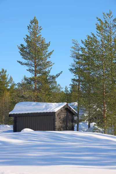 Chata Norsku Malá Norská Vesnice Tradiční Norská Architektura — Stock fotografie