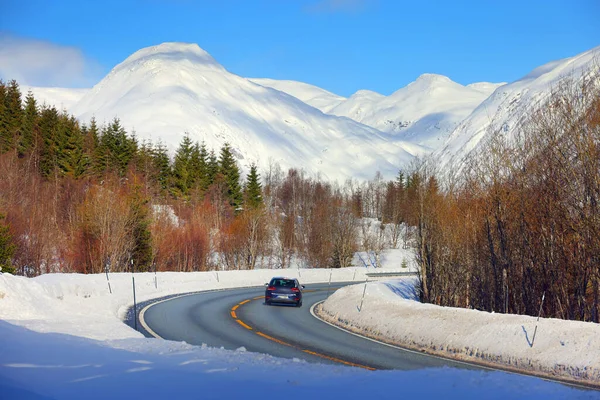 Alpint Vinterlandskap Hemsedal Rutt Norge Europa — Stockfoto