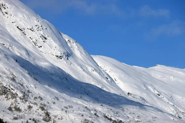 Norveç Avrupa Kutup Dairesi Manzarası — Stok fotoğraf