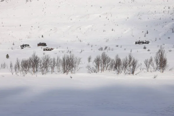 Alpejski Krajobraz Zimowy Trasie Hemsedal Norwegii Europa — Zdjęcie stockowe
