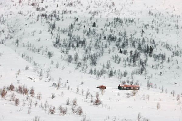 Paysage Hivernal Alpin Sur Route Hemsedal Norvège Europe — Photo