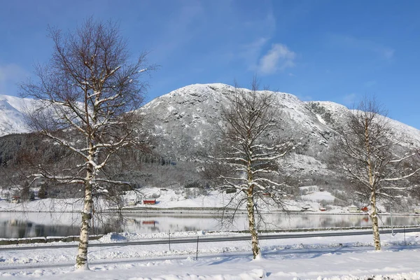 Uitzicht Het Dorp Skei Het Meer Jolstravatnet Gemeente Sunnfjord Provincie — Stockfoto