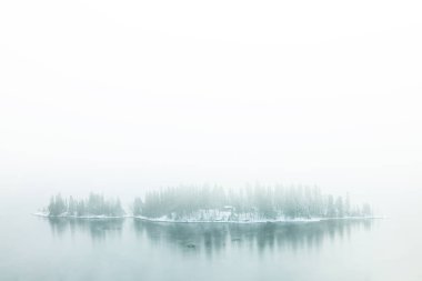 Norveç 'in Trondheim yakınlarındaki Jonsvatnet Gölü' nün donmuş kıyılarında kış sisli manzarası. Kış zamanı.