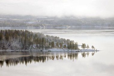 Norveç 'in Trondheim yakınlarındaki Jonsvatnet Gölü' nün donmuş kıyılarında kış sisli manzarası. Kış zamanı.