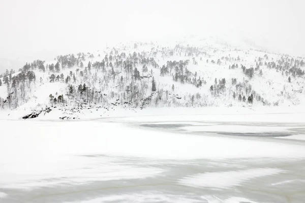 Winterlandschap Aan Bevroren Oevers Van Het Jonsvatnet Meer Bij Trondheim — Stockfoto