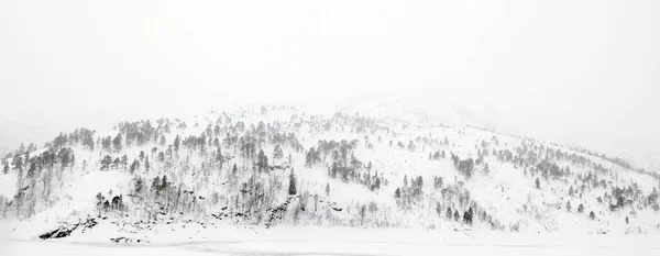 Paisaje Invernal Las Orillas Congeladas Del Lago Jonsvatnet Cerca Trondheim —  Fotos de Stock