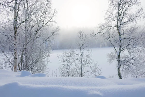 Zimní Mlhavá Krajina Zamrzlého Břehu Jezera Jonsvatnet Trondheimu Norsku Zimní — Stock fotografie