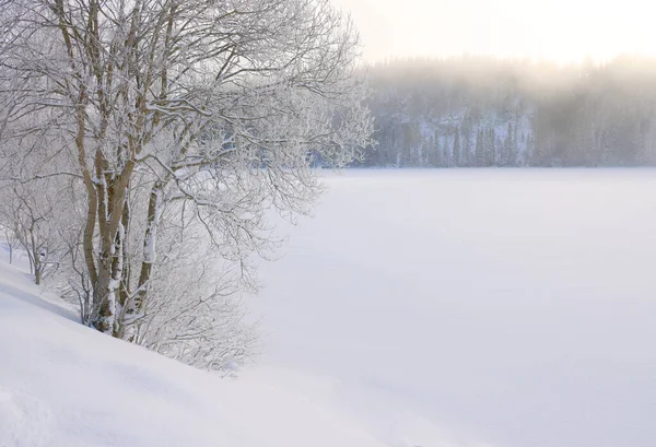 Winternebellandschaft Zugefrorenen Ufer Des Jonsvatnet Sees Der Nähe Von Trondheim — Stockfoto
