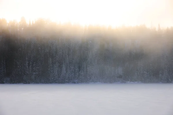 Winter Foggy Landscape Frozen Shores Jonsvatnet Lake Trondheim Norway Winter — Stock Photo, Image