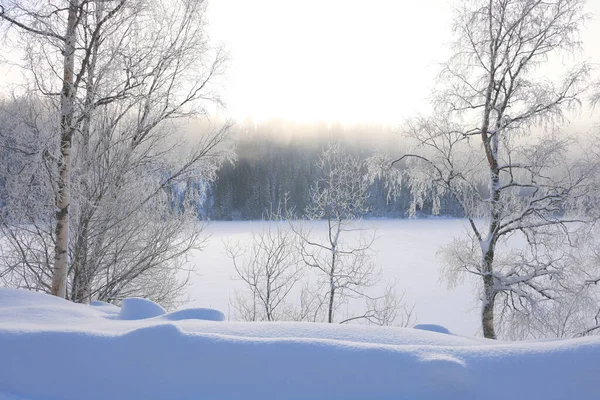 Zimní Krajina Zamrzlém Břehu Jezera Jonsvatnet Trondheimu Norsko Evropa — Stock fotografie