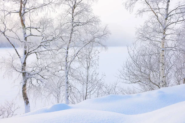 Zimní Krajina Zamrzlém Břehu Jezera Jonsvatnet Trondheimu Norsko Evropa — Stock fotografie