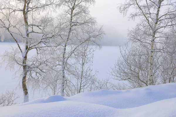 Paisagem Inverno Margens Congeladas Lago Jonsvatnet Perto Trondheim Noruega Europa — Fotografia de Stock